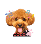 こんどう ここ❤️（個別スタンプ：1）