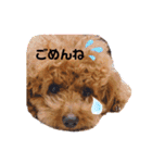 こんどう ここ❤️（個別スタンプ：4）