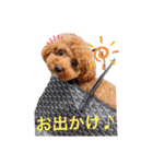 こんどう ここ❤️（個別スタンプ：5）