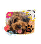 こんどう ここ❤️（個別スタンプ：12）