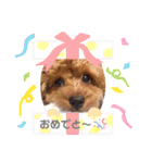 こんどう ここ❤️（個別スタンプ：14）