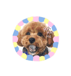 こんどう ここ❤️（個別スタンプ：21）