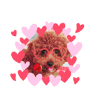 こんどう ここ❤️（個別スタンプ：22）