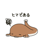 うな将軍（個別スタンプ：3）