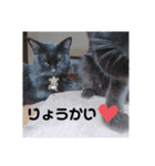 M家のよく使うやつ（個別スタンプ：1）