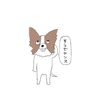 三下の犬ヤンス（個別スタンプ：1）