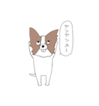 三下の犬ヤンス（個別スタンプ：23）