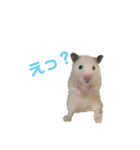 はむ2号！（個別スタンプ：1）
