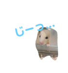 はむ2号！（個別スタンプ：3）