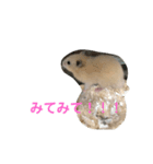 はむ2号！（個別スタンプ：9）