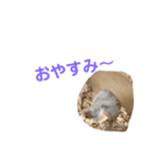 はむ2号！（個別スタンプ：11）