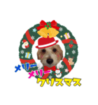 ごきげんジャックなこはてんゆく年くる年編（個別スタンプ：2）