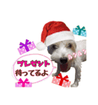 ごきげんジャックなこはてんゆく年くる年編（個別スタンプ：3）