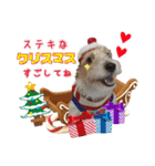 ごきげんジャックなこはてんゆく年くる年編（個別スタンプ：4）