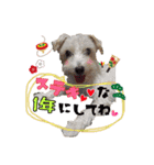 ごきげんジャックなこはてんゆく年くる年編（個別スタンプ：5）