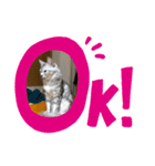 お正月とありじゃあのん（個別スタンプ：3）