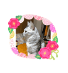 お正月とありじゃあのん（個別スタンプ：6）