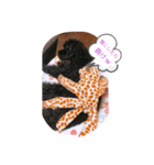 仲良し3人家族♡ ③（個別スタンプ：5）