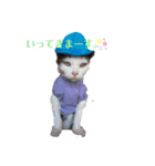 ♪にゃ～ごぉ～♪（個別スタンプ：4）