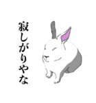 乗り気じゃない動物（個別スタンプ：10）