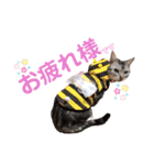じんたんときなこ2（個別スタンプ：12）