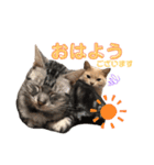 じんたんときなこ2（個別スタンプ：14）