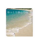 癒しの風景スタンプ（個別スタンプ：4）