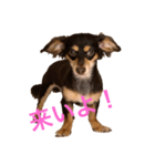 エイト君（個別スタンプ：2）