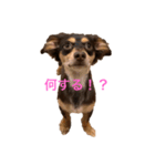 エイト君（個別スタンプ：3）