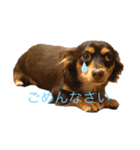 エイト君（個別スタンプ：5）