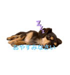 エイト君（個別スタンプ：6）