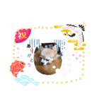 俺スタンプ  SP（七五三編）（個別スタンプ：4）