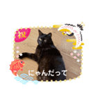 俺スタンプ  SP（七五三編）（個別スタンプ：8）