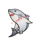 SHARK・RAY（個別スタンプ：1）