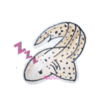 SHARK・RAY（個別スタンプ：3）