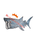 SHARK・RAY（個別スタンプ：5）