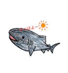 SHARK・RAY（個別スタンプ：7）