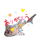 SHARK・RAY（個別スタンプ：12）