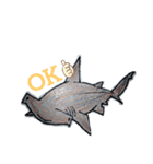 SHARK・RAY（個別スタンプ：16）
