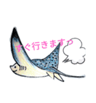 SHARK・RAY（個別スタンプ：19）