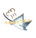 SHARK・RAY（個別スタンプ：20）