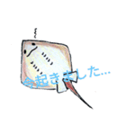 SHARK・RAY（個別スタンプ：21）