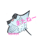 SHARK・RAY（個別スタンプ：23）