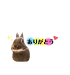 うさぎのはぐたんスタンプ♡（個別スタンプ：7）