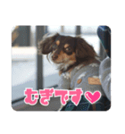 むぎです vol.1（個別スタンプ：1）