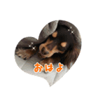 むぎです vol.1（個別スタンプ：2）