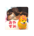 むぎです vol.1（個別スタンプ：3）