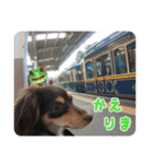 むぎです vol.1（個別スタンプ：4）