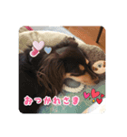 むぎです vol.1（個別スタンプ：5）