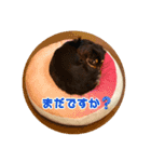 むぎです vol.1（個別スタンプ：6）
